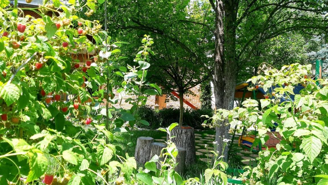 Maghay B&B Hotel In Vanadzor Ngoại thất bức ảnh